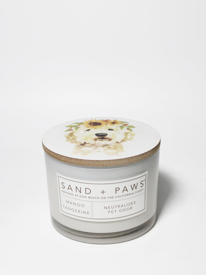 Sand + Paws Mango Tangerine 12 oz scented candle