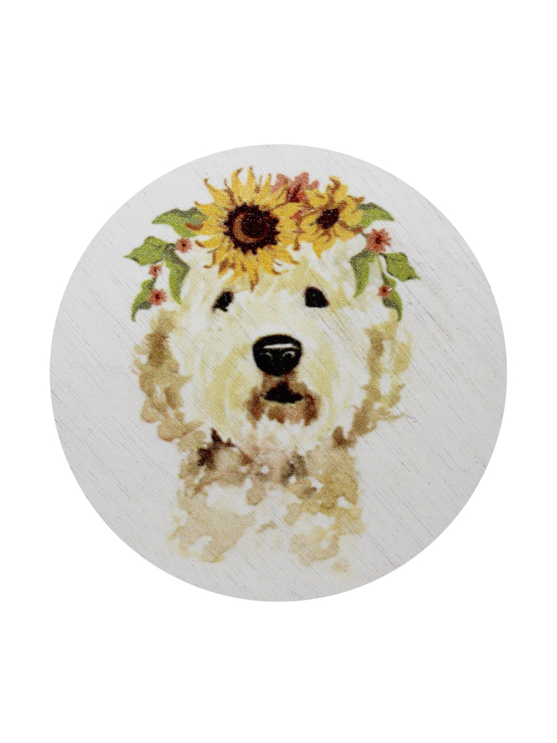 Sand + Paws Mango Tangerine 12 oz scented candle
