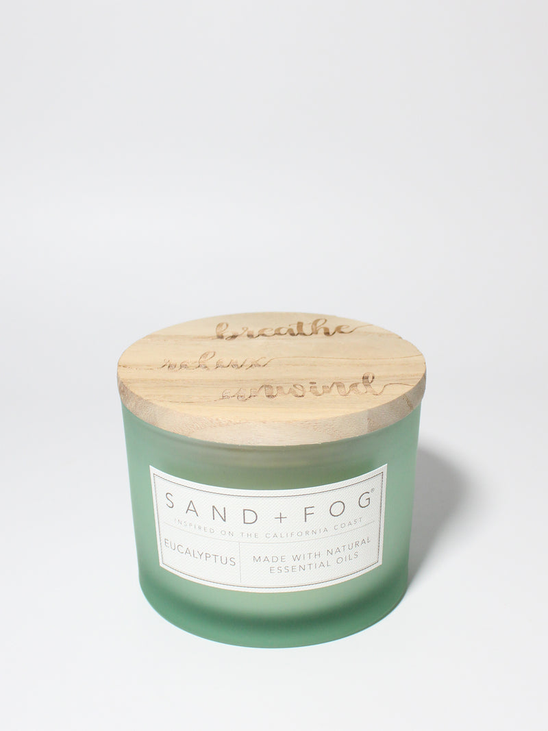 Eucalyptus 12 oz scented candle