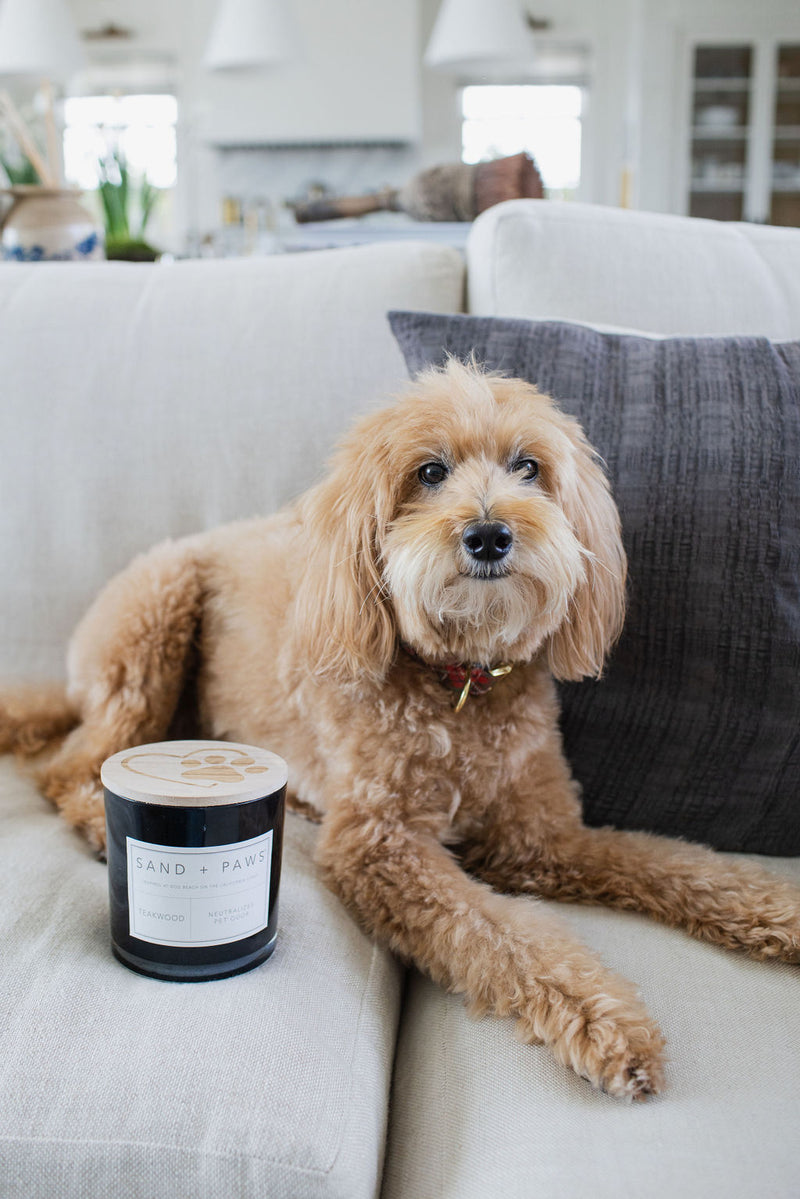 Sand + Paws Teakwood 21 oz scented candle