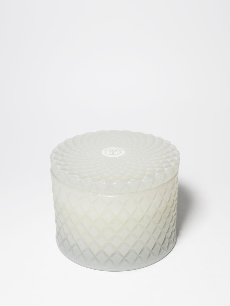 Tropical Citrus 9.5 oz scented candle
